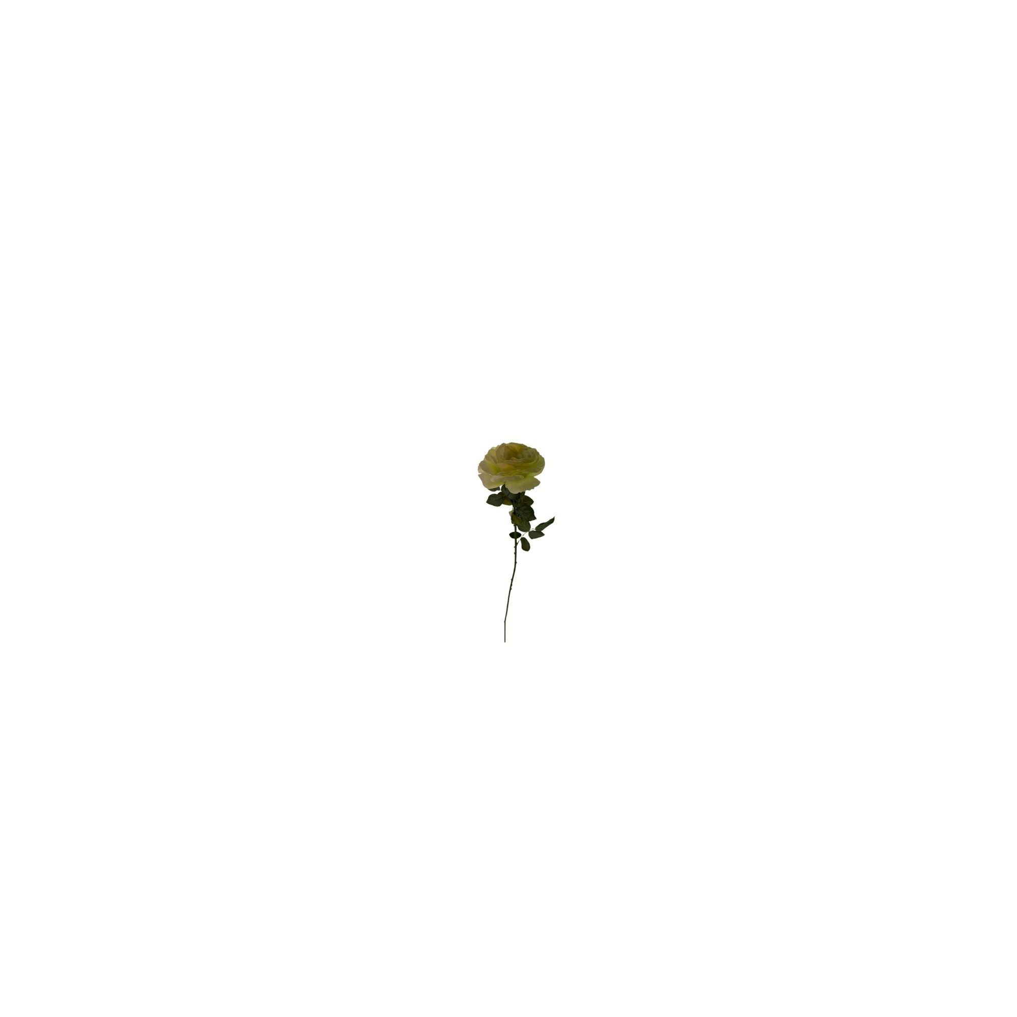 Selyemvirág rózsa 1szálas 70cm krém