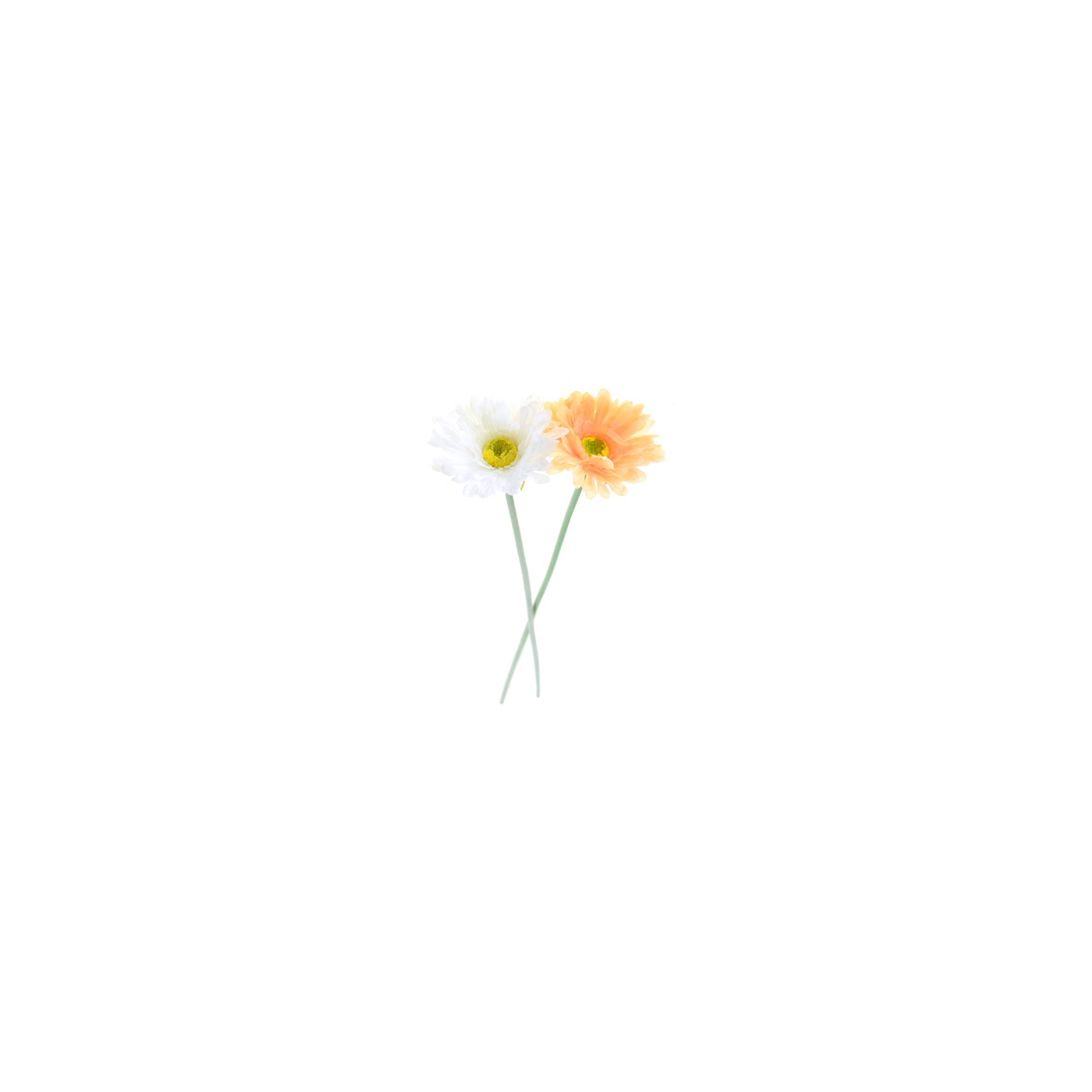 Selyemvirág szálas gerbera több szín
