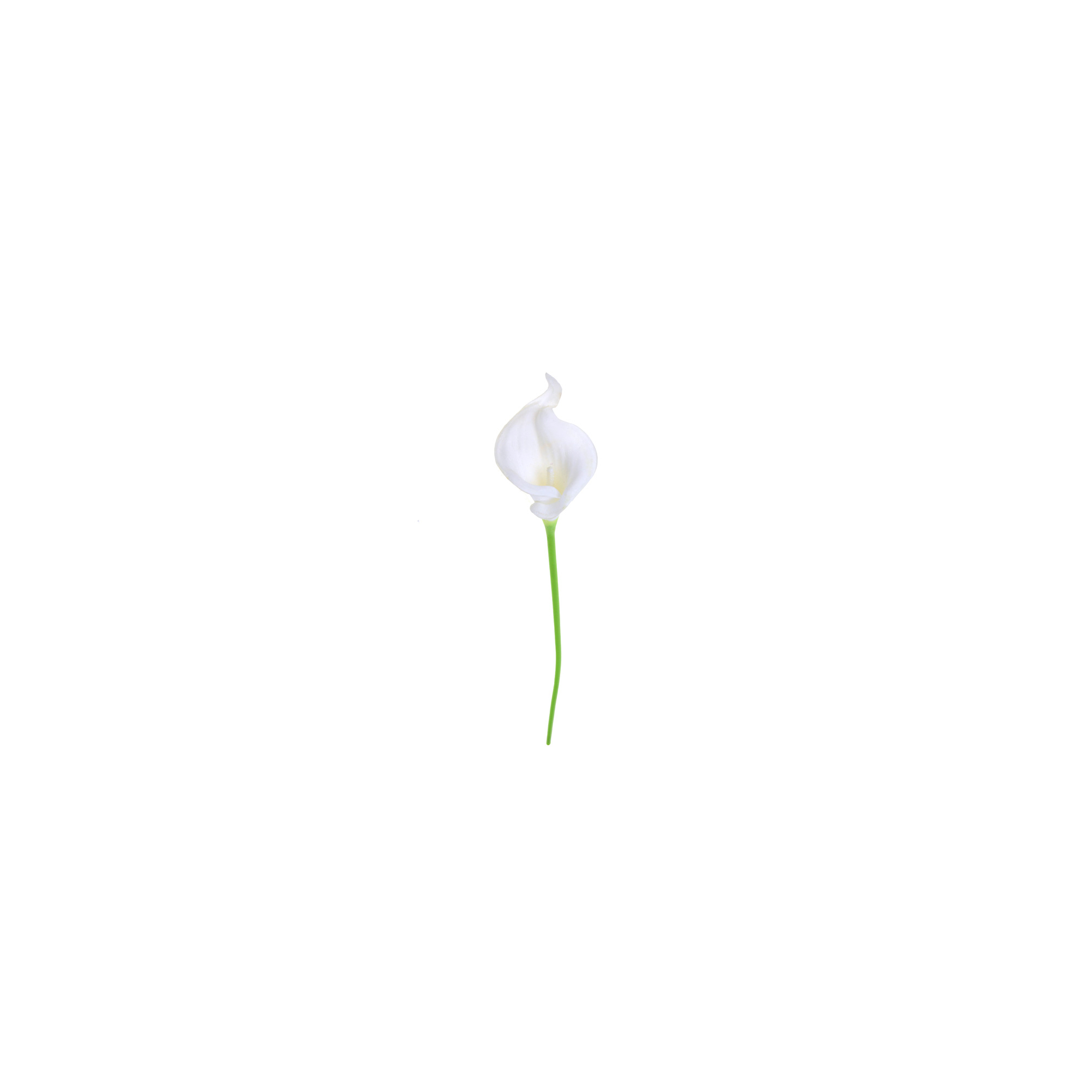 Selyemvirág szálas kála PU 33cm fehér