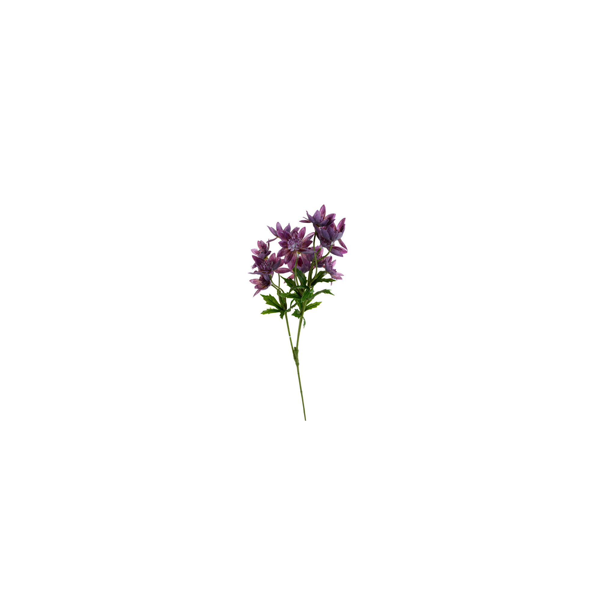 Selyemvirág kökörcsin szálas 66CM sötét lila