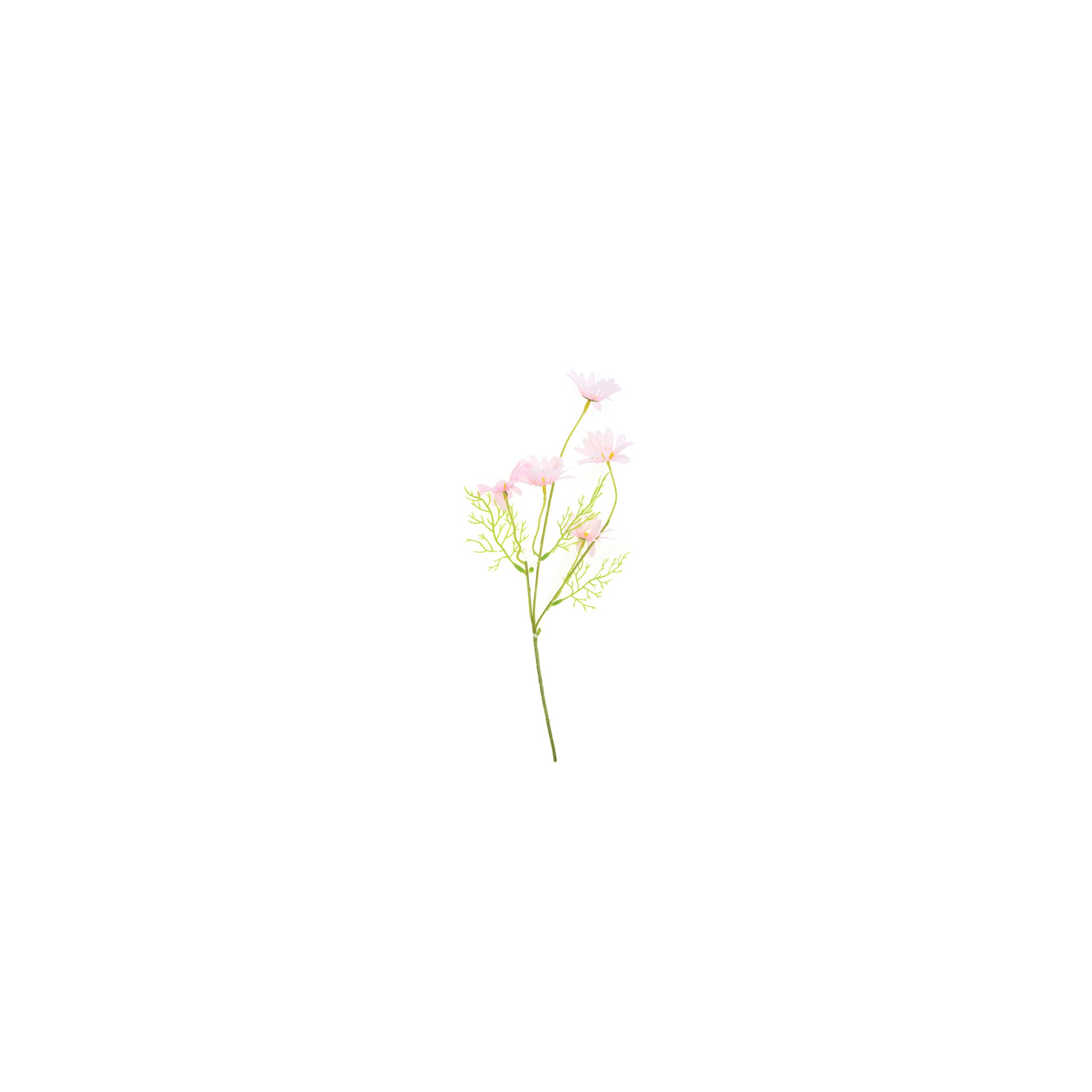 Selyemvirág százszorszép 50 cm, 5 virágfej pink