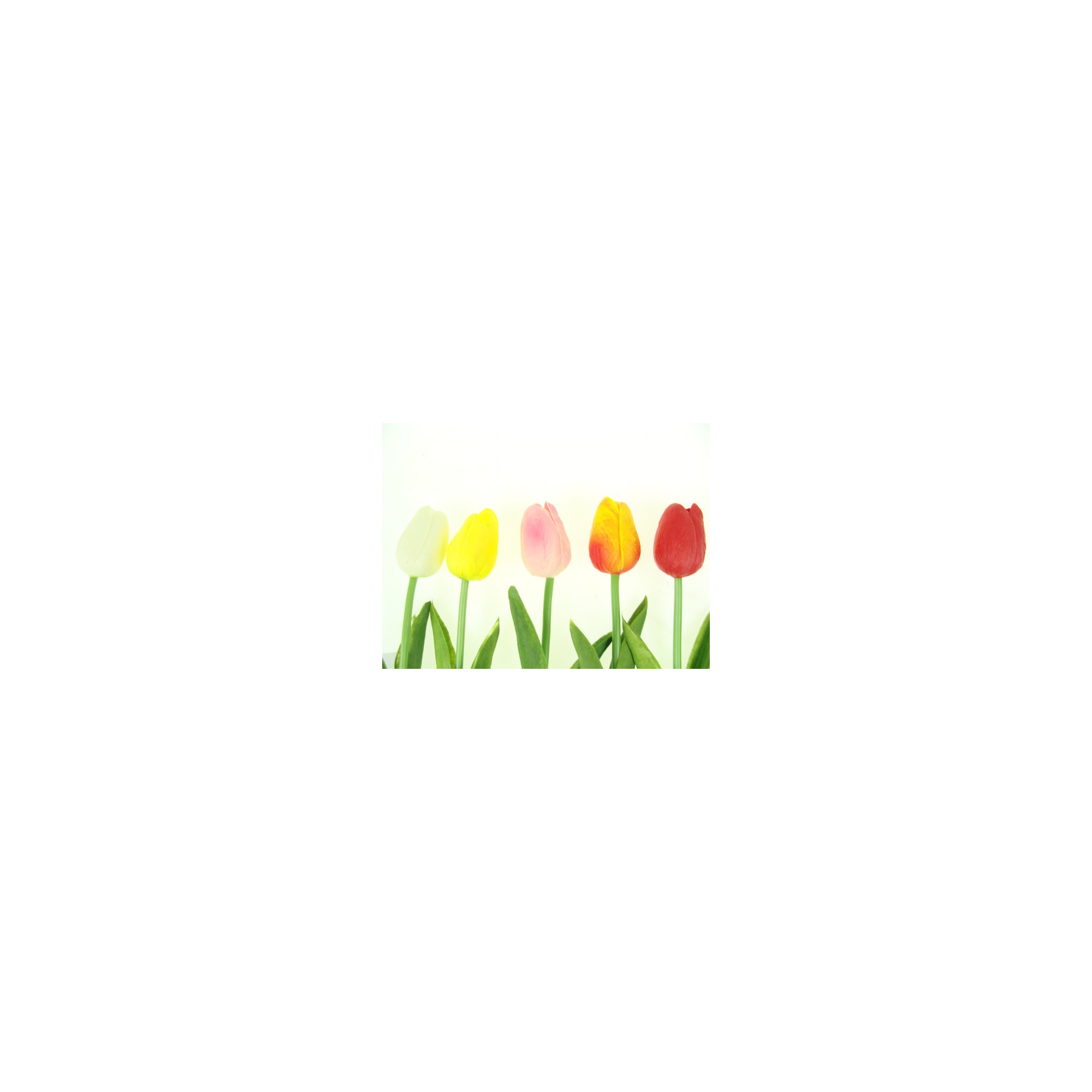 Selyemvirág tulipán 34cm több szín