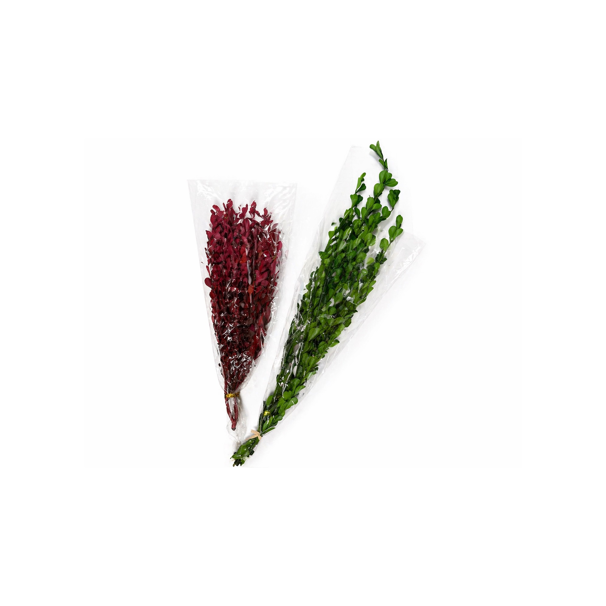 Szárazvirág buxus 40-50cm piros/zöld