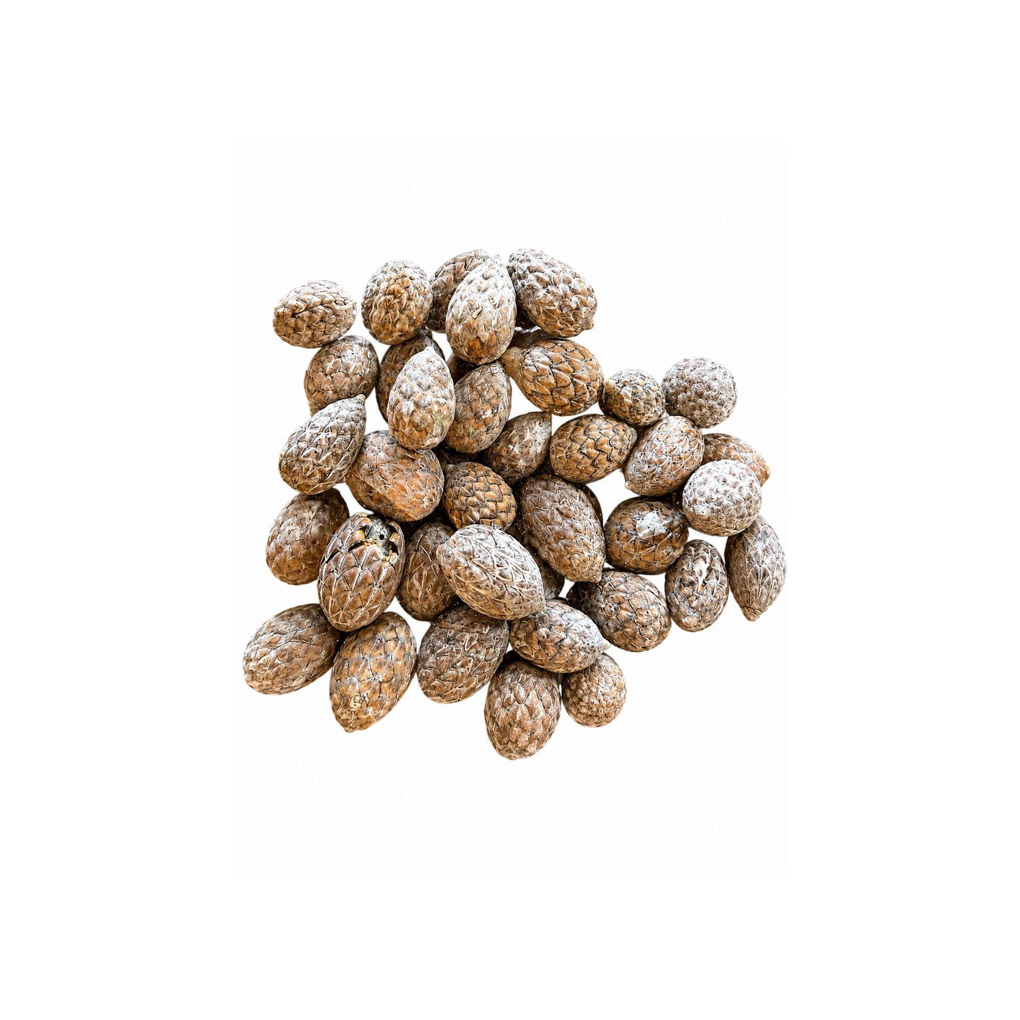 Termés Cane Fruit 10dkg mosott fehér