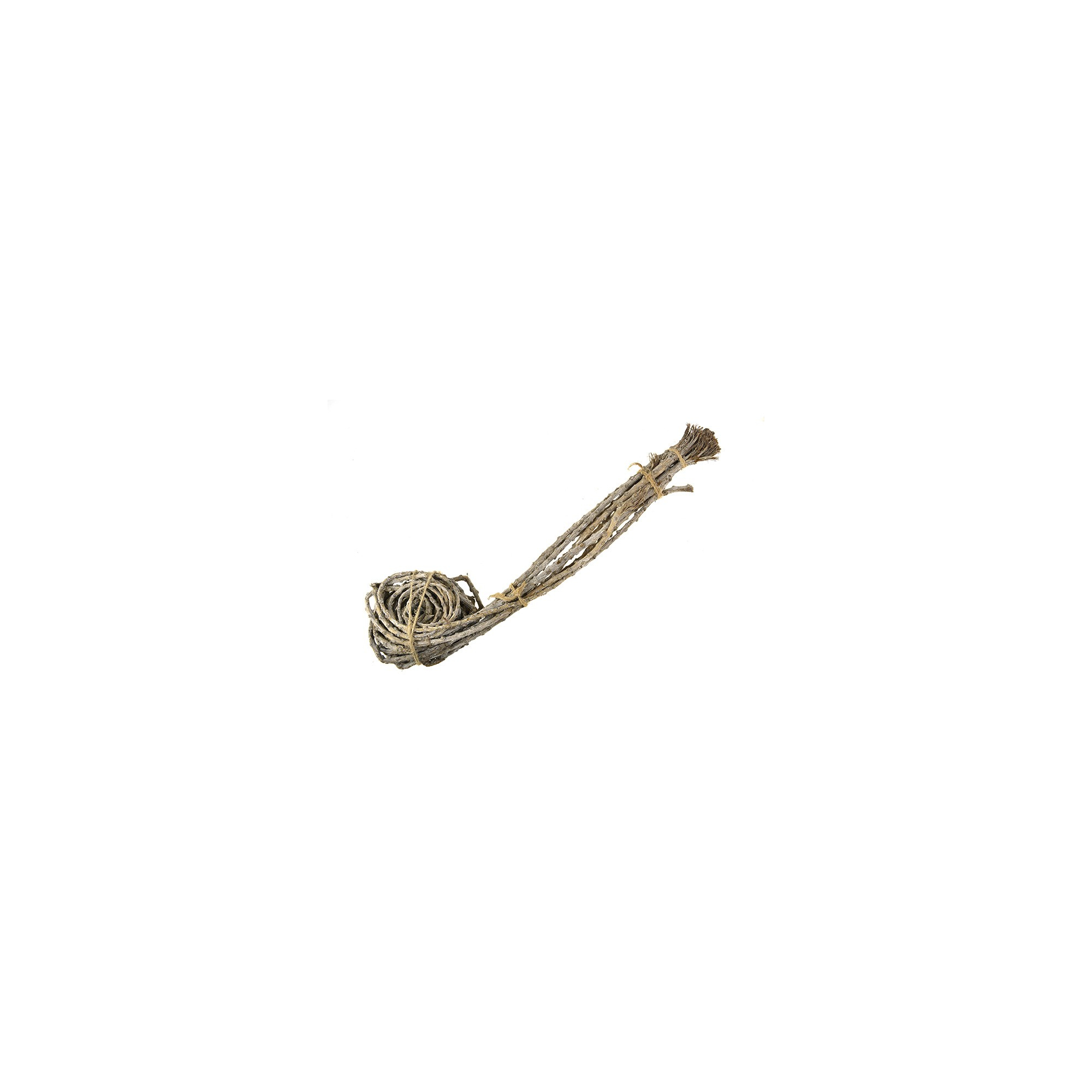 Termés Twig Coil csavart ág hamvas natúr