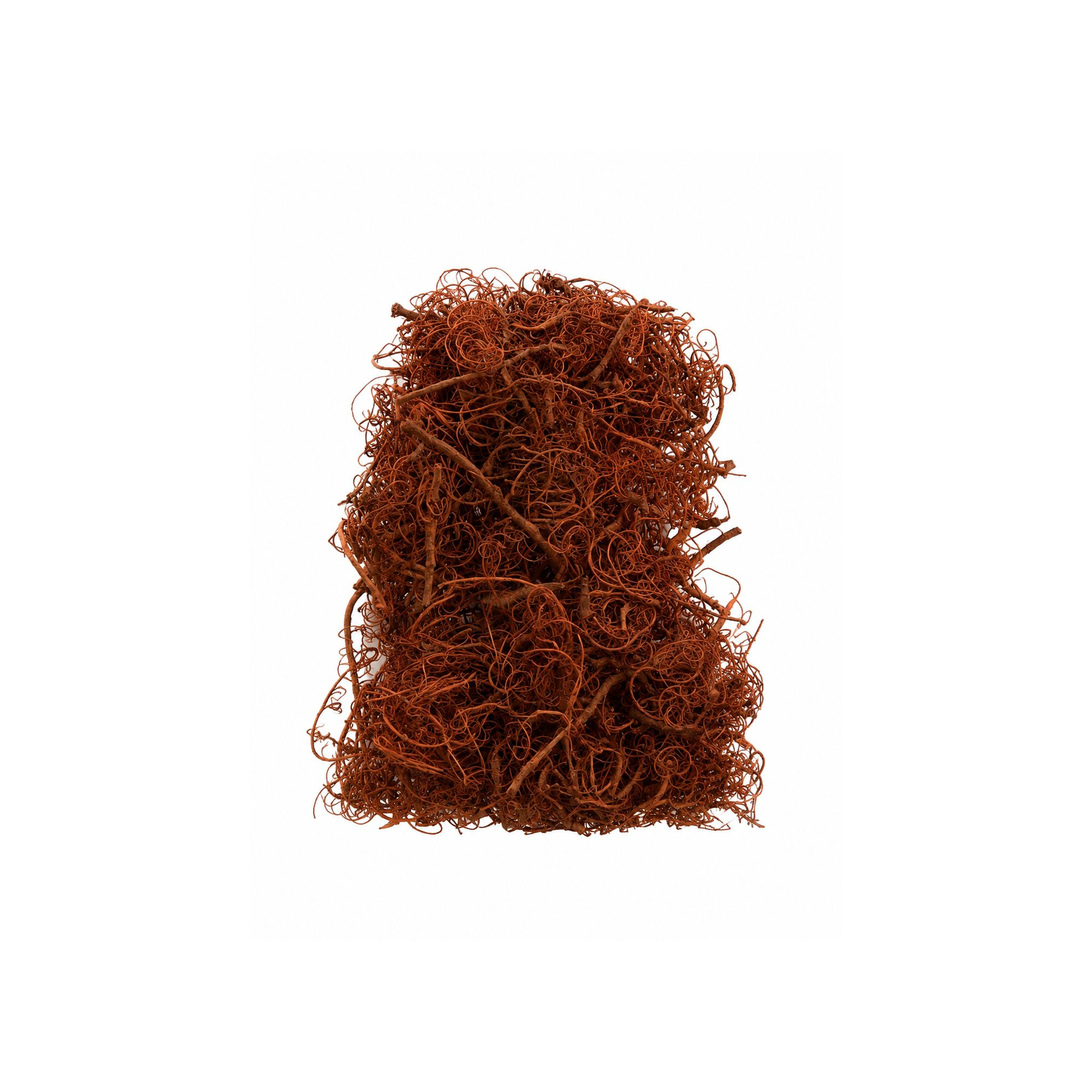 Termés Curly Moss 10dkg narancs