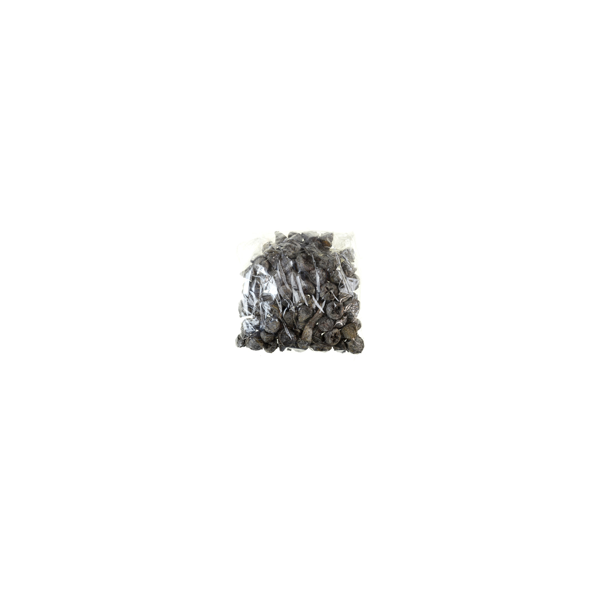 Termés Eucalyptus Pod (2,5cm) 2dkg deres natúr