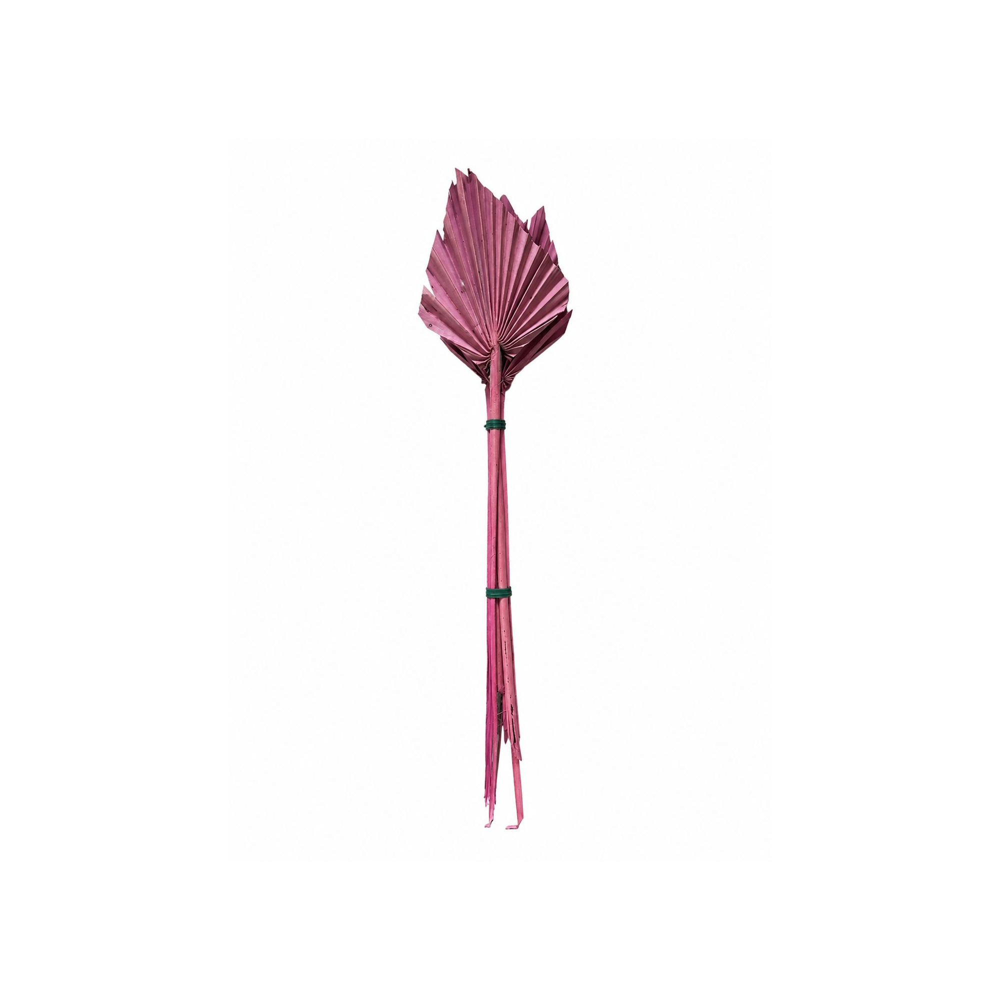 Termés Palm Spear s/5 pink
