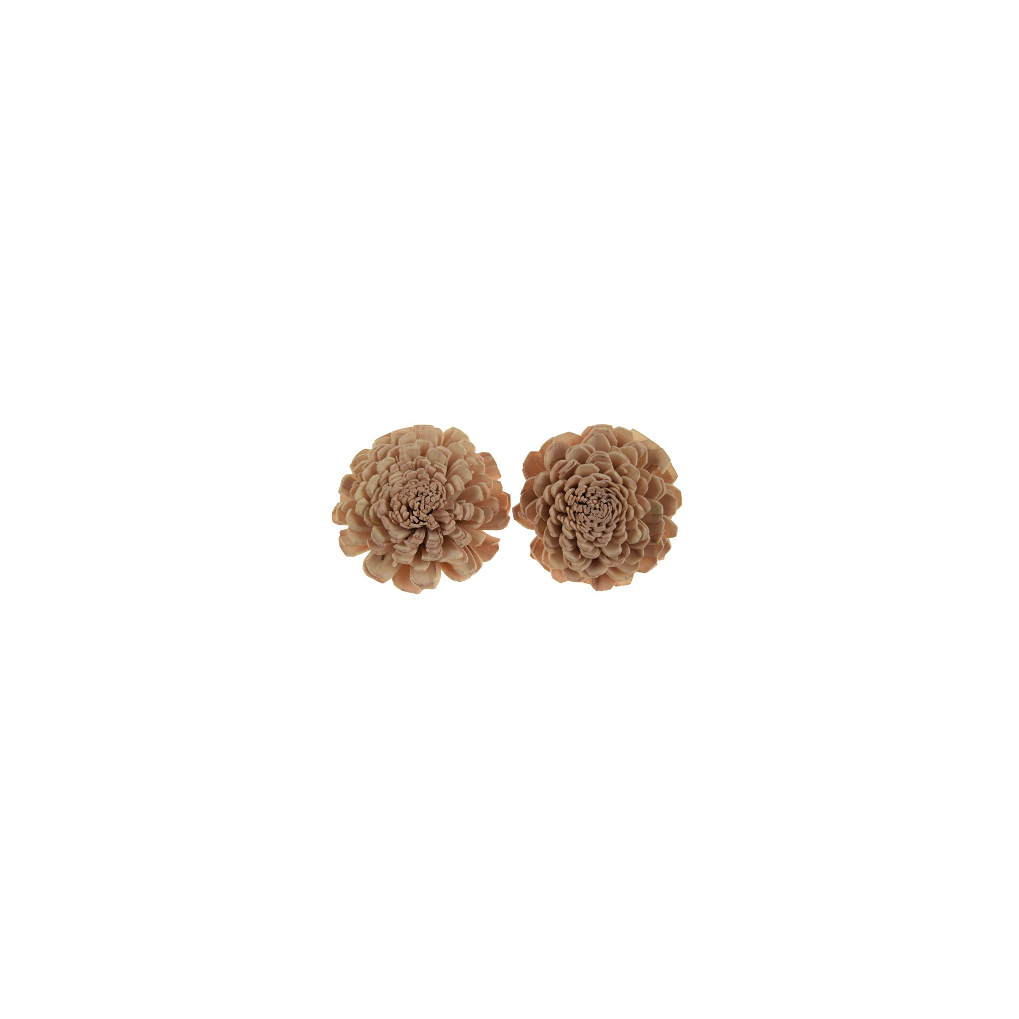 Termés Shola Flower 6cm s/4 bézs