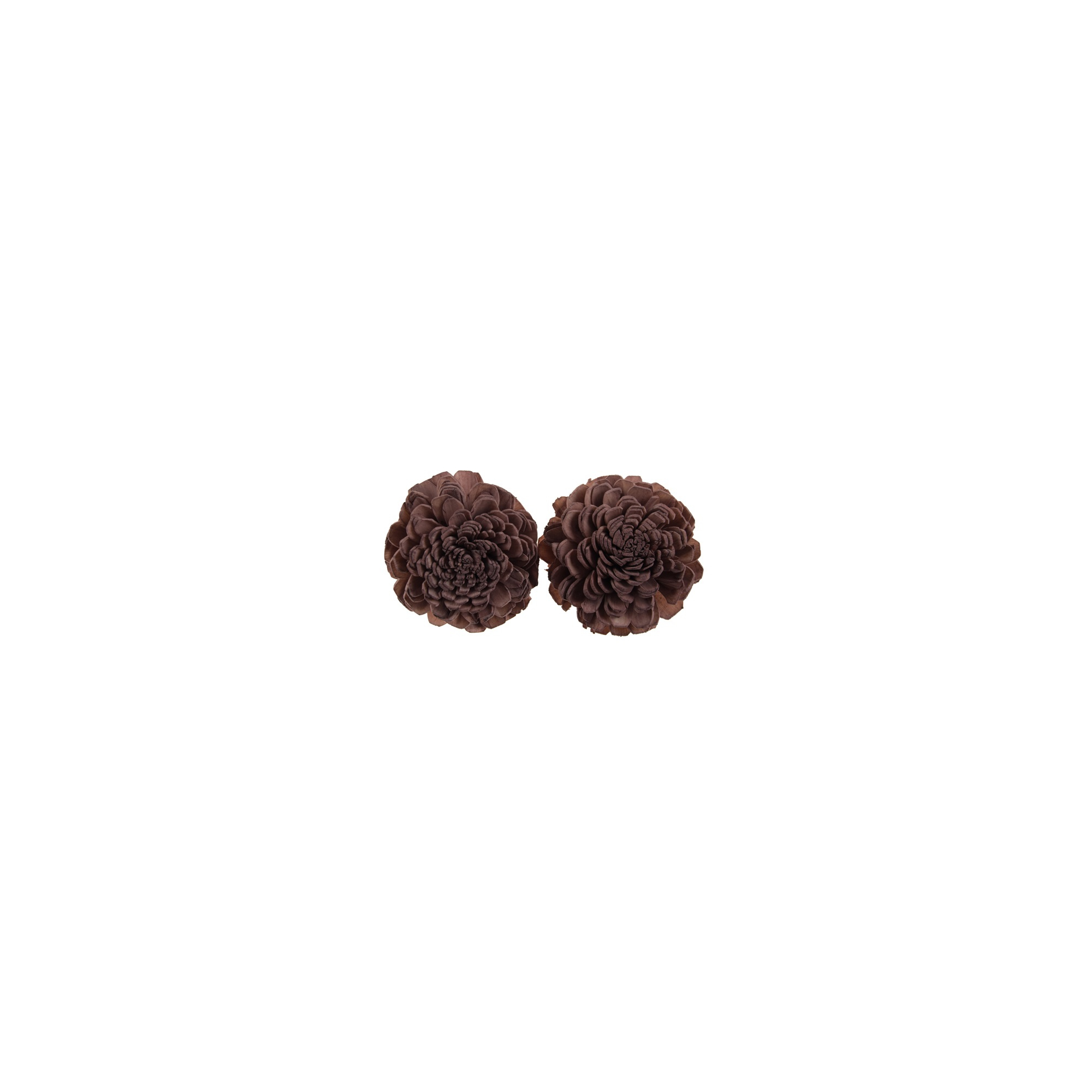 Termés Shola Flower 6cm s/4 mályva