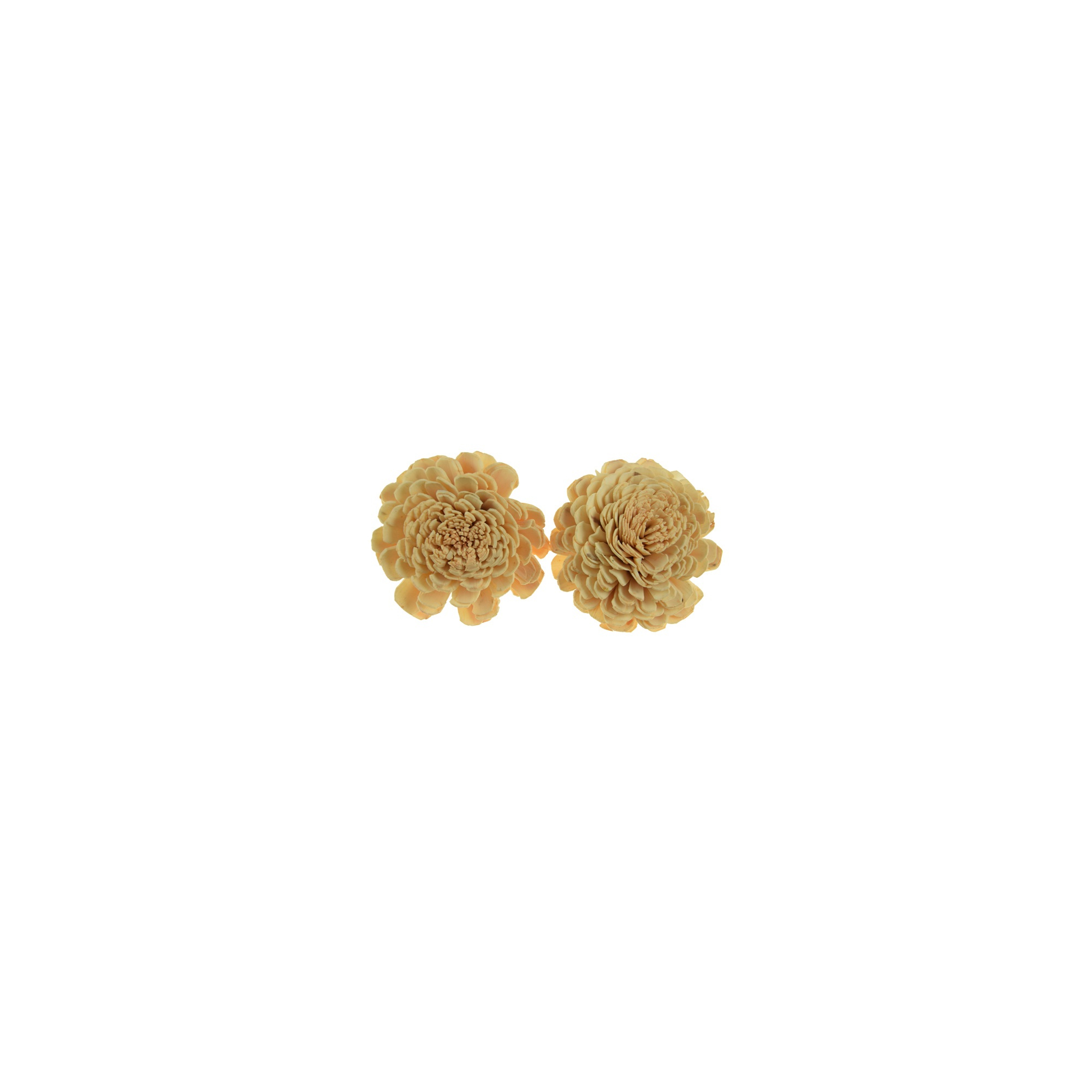 Termés Shola Flower 6cm s/4 púder