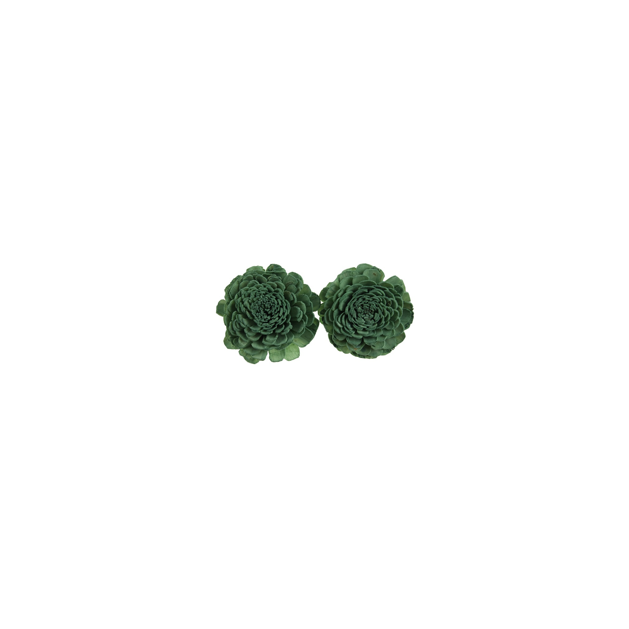 Termés Shola Flower 6cm s/4 türkiz