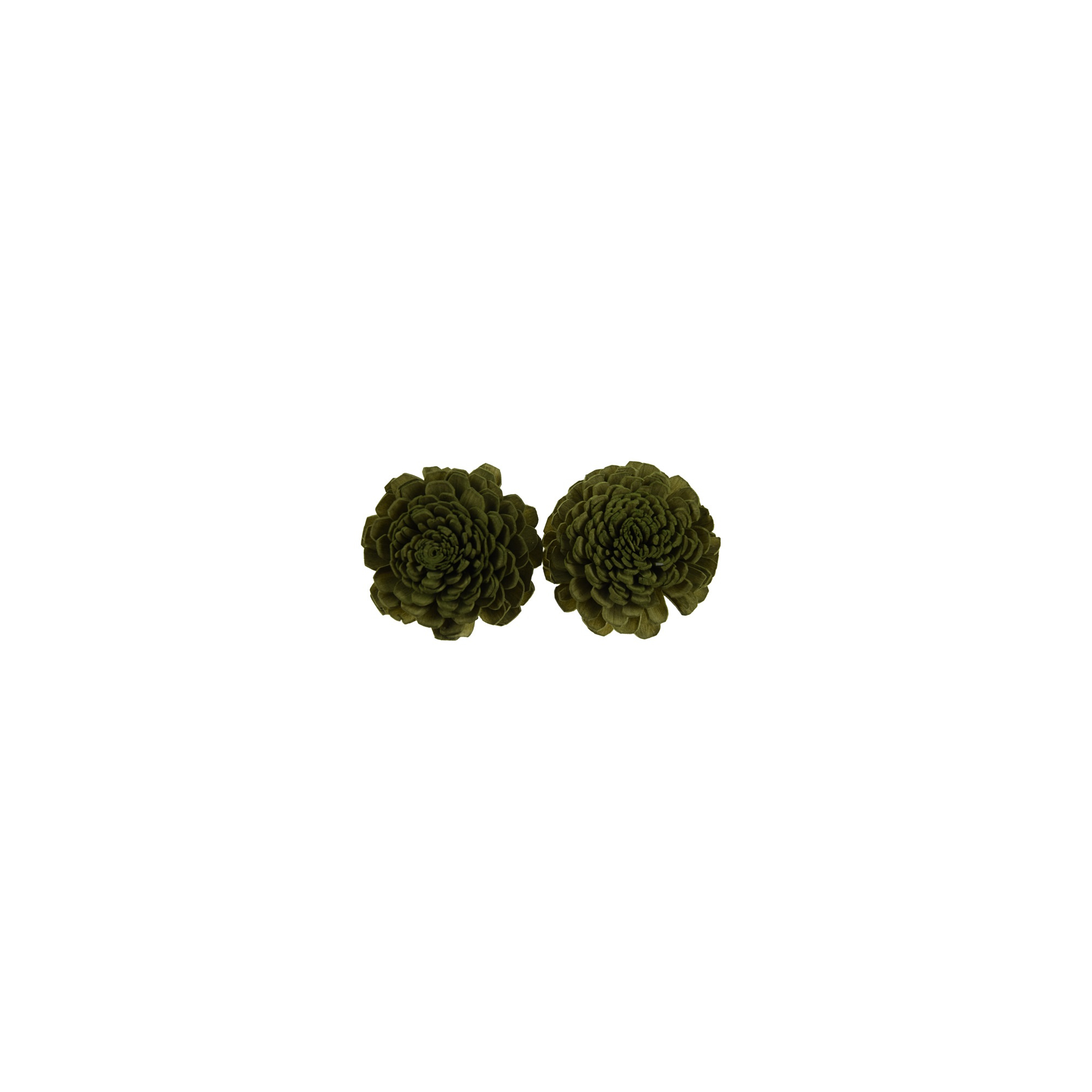 Termés Shola Flower 6cm s/4 zöld