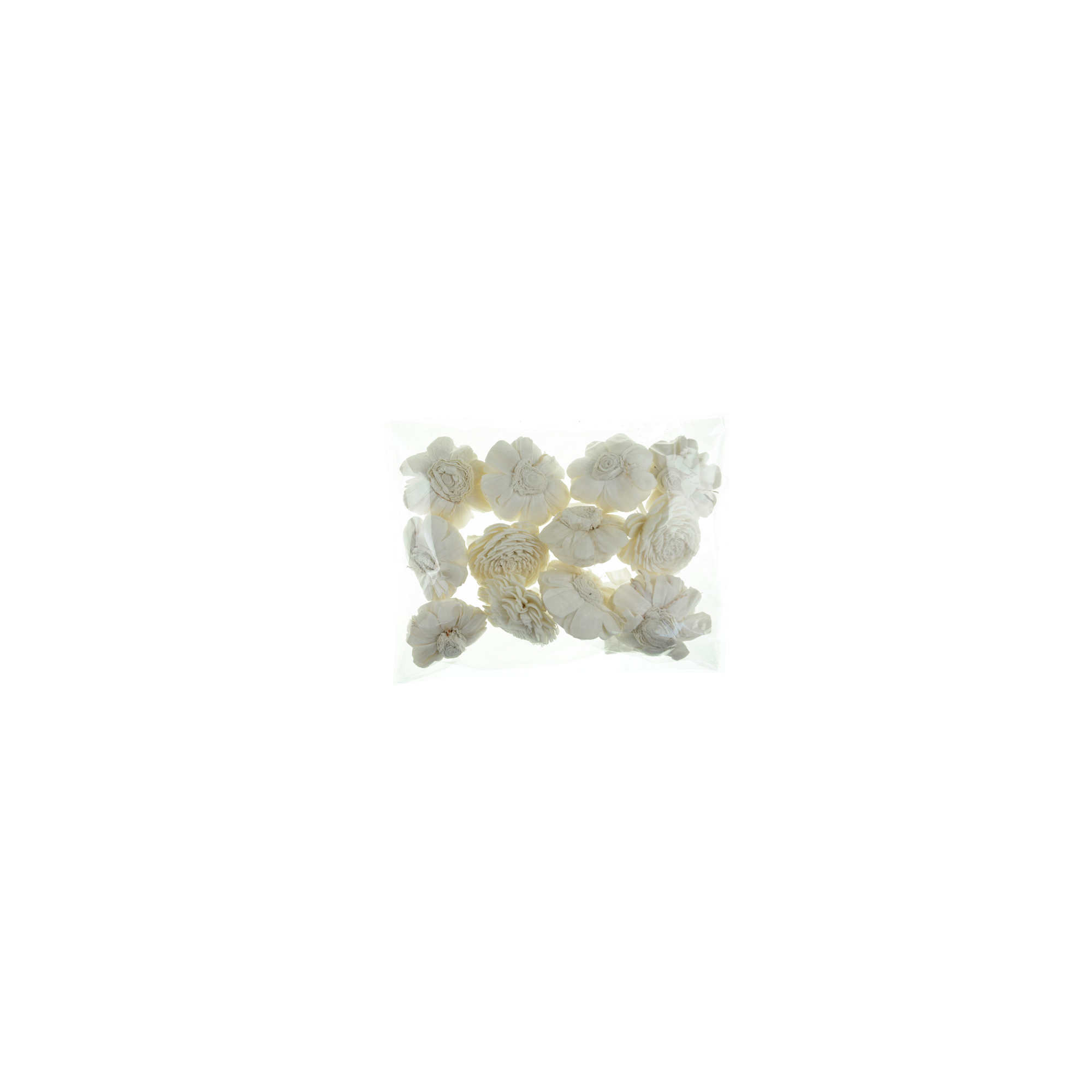Termés Sola Beli 6cm s/12 natúr