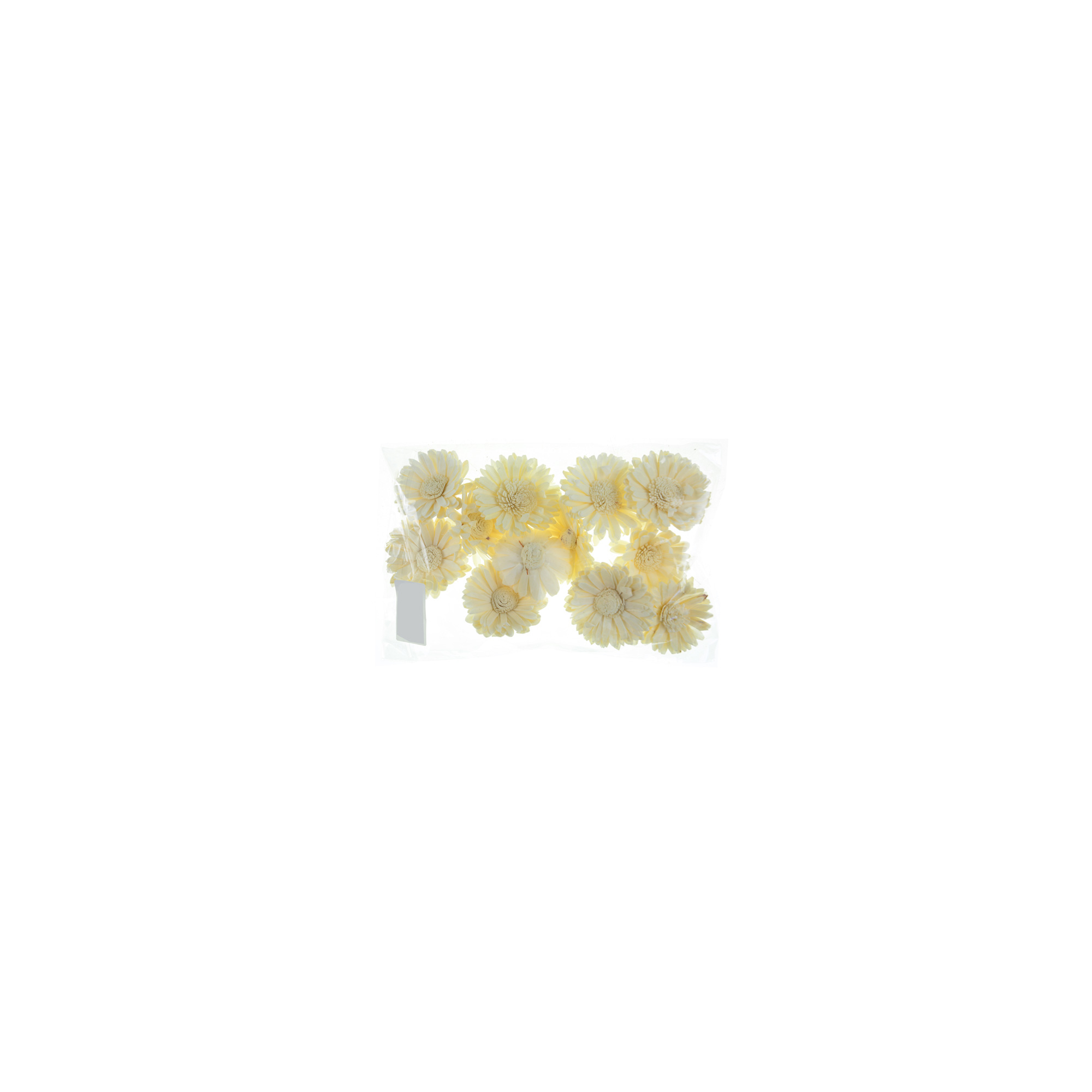 Termés Sola Sun Flower 6cm s/12 natúr