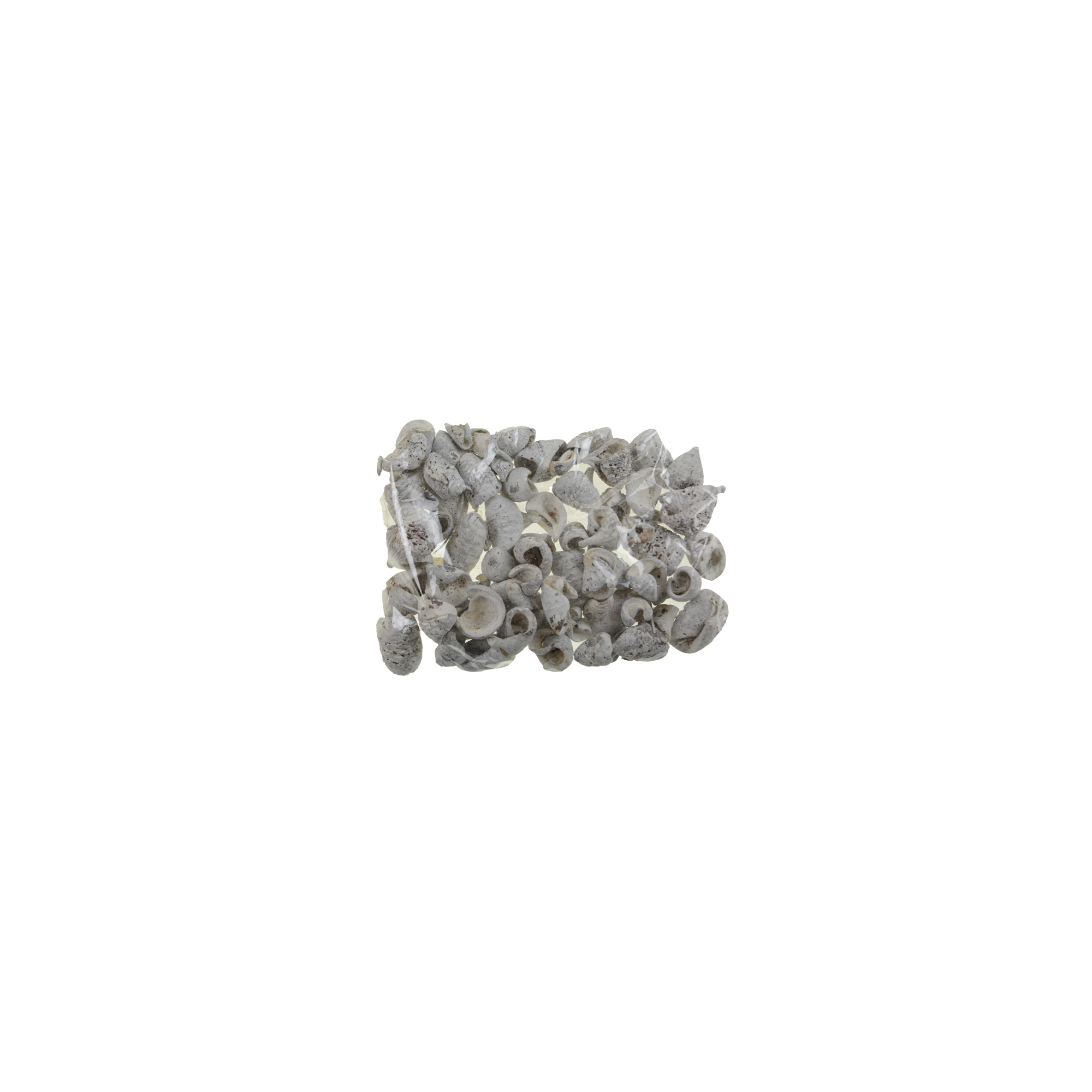 Termés Wrinkle Pod fehér 20 dkg