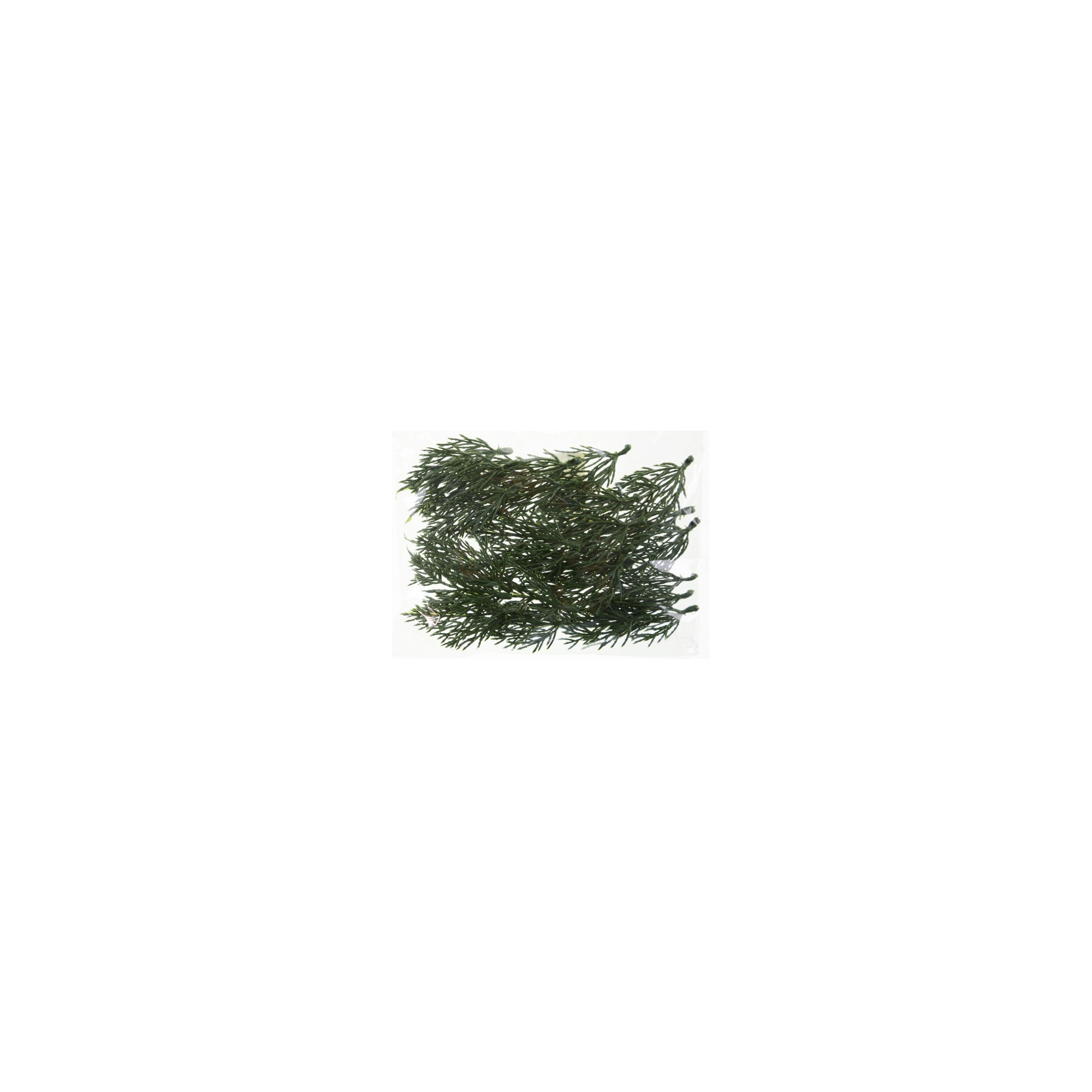 Tuja ág műa. 8cm s/24 zöld