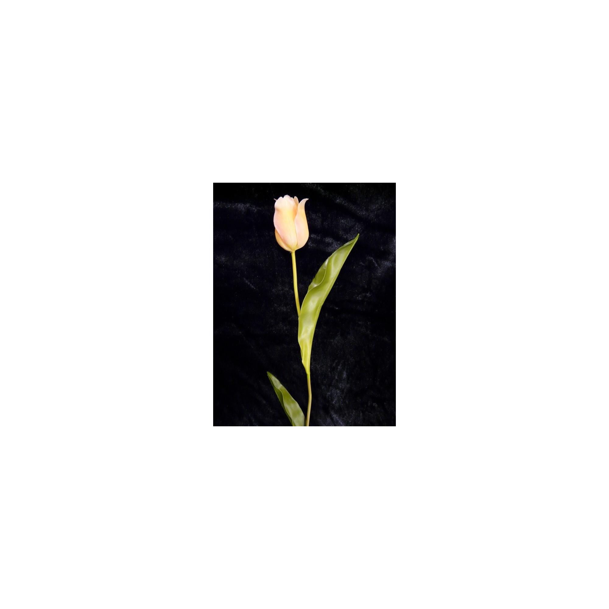 Selyemvirág Tulipán Abhika 83cm sárga