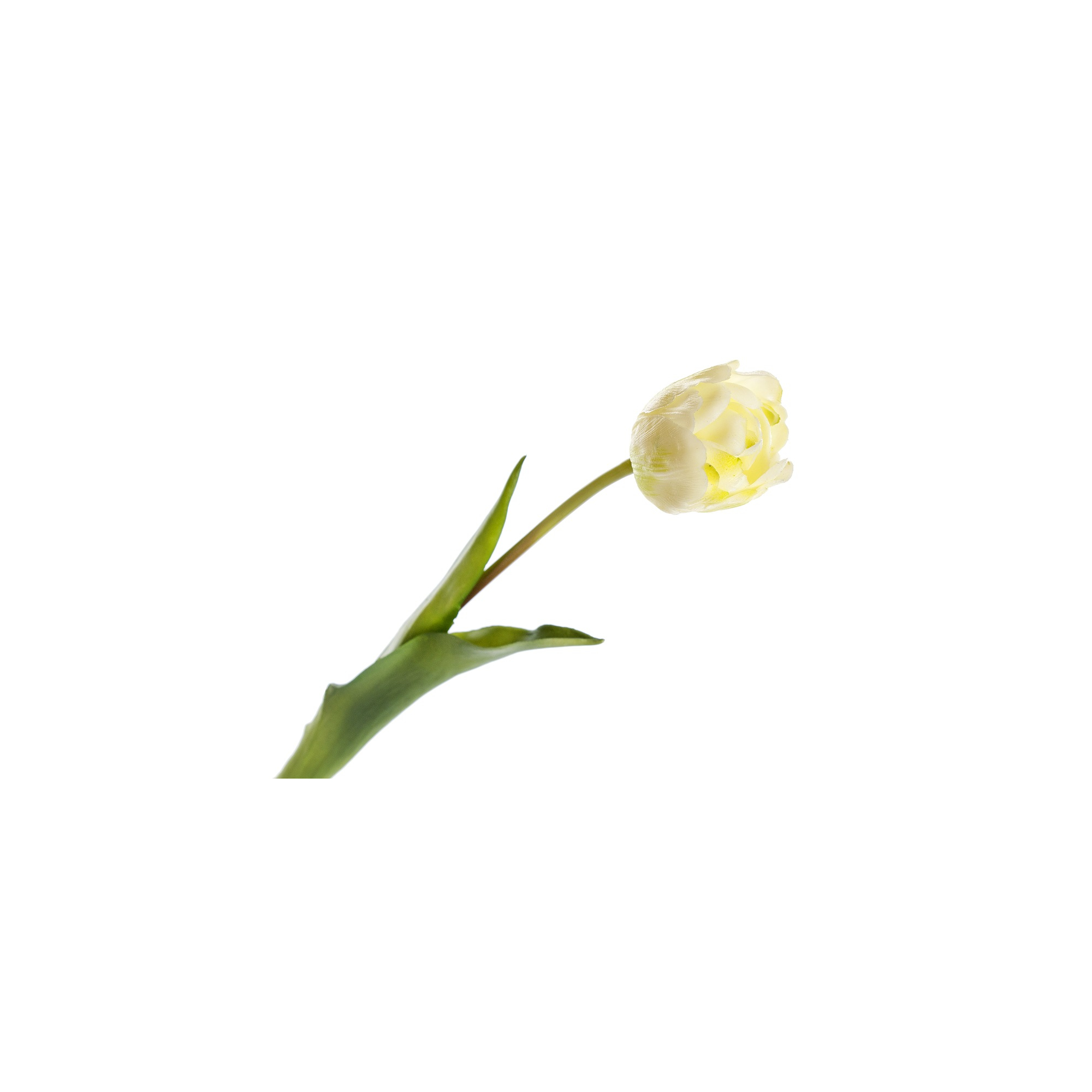Selyemvirág gumi tulipán H44 fehér fehér