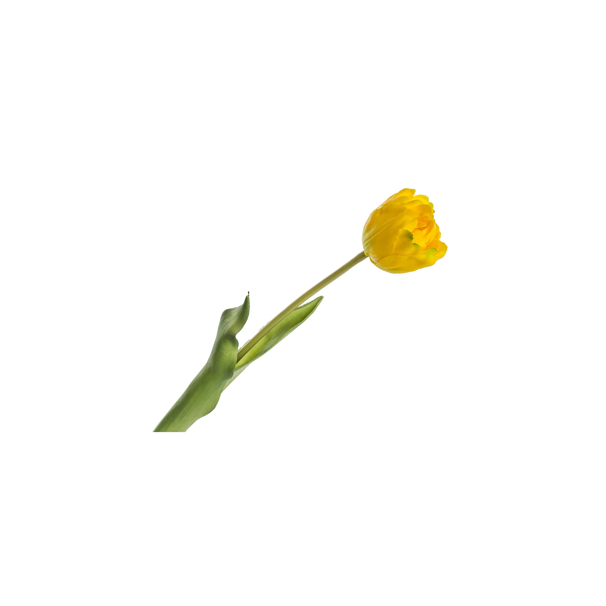 Selyemvirág gumi tulipán H44 sárga sárga