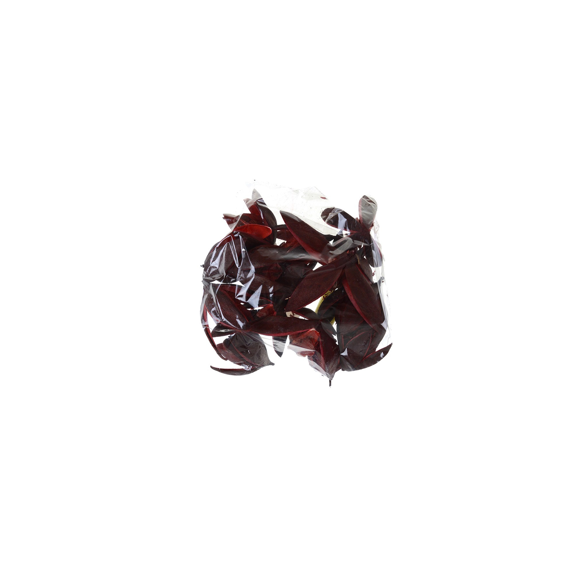 Wildlilie piros (0470 3 202410005)