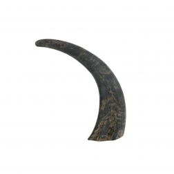 Bivaly szarv 25cm fekete