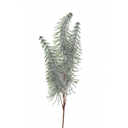 Dekor ág fenyős 55cm zöld