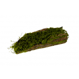 Fatörzs mohás 35cm zöld