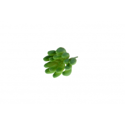 Selyemvirág pozsgás 3*5,5cm több szín
