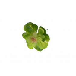 Selyemvirág kövirózsa 7*8cm pozsgás több szín