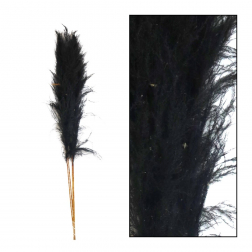 Pampafű 160cm s/5 kékeszöld