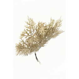 Pick apró leveles ág 20cm bronz