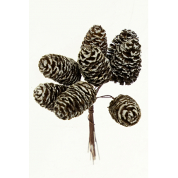 Pick toboz 13cm s/8 havas s.barna