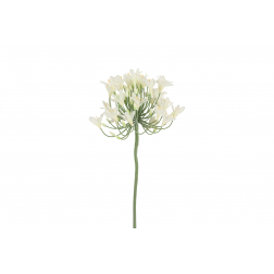 Selyemvirág agapanthus 90cm fehér