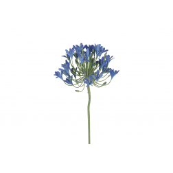Selyemvirág agapanthus 90cm kék
