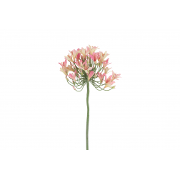 Selyemvirág agapanthus 90cm rózsaszín