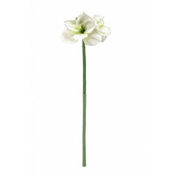 Selyemvirág amarilisz 26,5cm fehér
