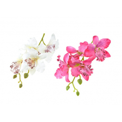 Selyemvirág cymbidium fej 18cm több szín DB!