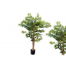 Selyemvirág fikusz cserepes 120cm zöld