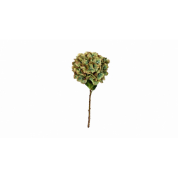 Selyemvirág hortenzia 70cm barna