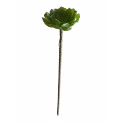 Selyemvirág kövirózsa 40cm zöld