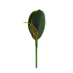 Selyemvirág orchidealevél 22cm zöld