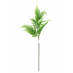 Selyemvirág páfrány 62cm zöld