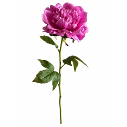 Selyemvirág peónia 57cm pink