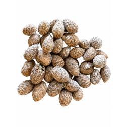 Termés Cane Fruit 10dkg mosott fehér