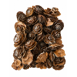 Termés Cedar Rose 20dkg fehér széllel natúr
