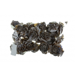 Termés Cedar Rose 20dkg mosott fehér