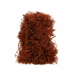 Termés Curly Moss 10dkg narancs