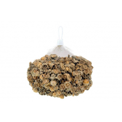Termés makk kupacs 0,5kg natúr