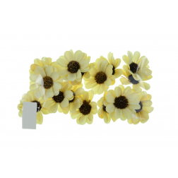 Termés Palm Sunny 6cm s/15 fehérített